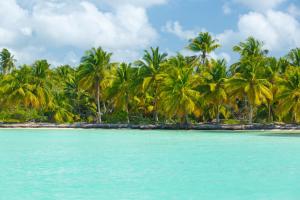 caribbean-island-coast-1457017085crp