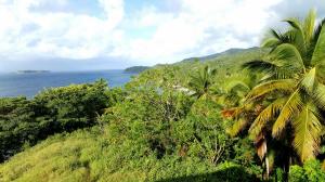 widok na Cayo Levantado z Punta Balandra